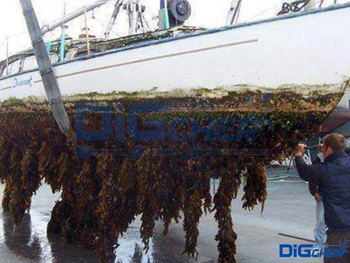 �˹�ȥ�����׺�����