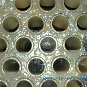 �켈�S�A����܇(ch��)�g���l(f��)����ϴ�C(j��)-��Ч�L(zh��ng)����Ĥ���l(f��)���ܵ���ϴ�C(j��)