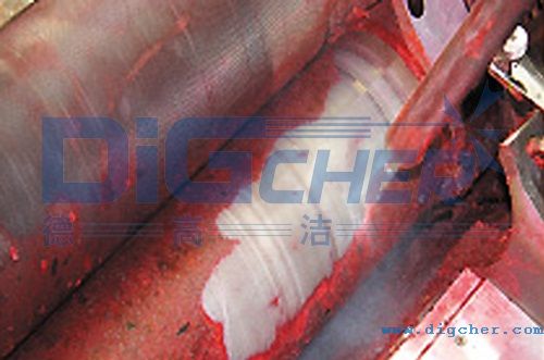 �¸ߝ�DPT Pro�ɱ���ϴ�C��ӡˢ���I(y��)�ϵđ���